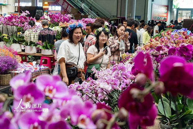 云南昆明：斗南花卉市场人头攒动