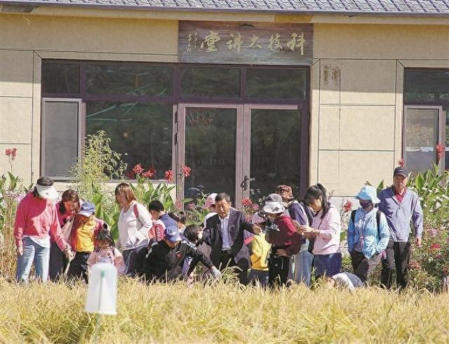 割水稻、挖红薯、薅花生……丰收农场成为热门打卡地