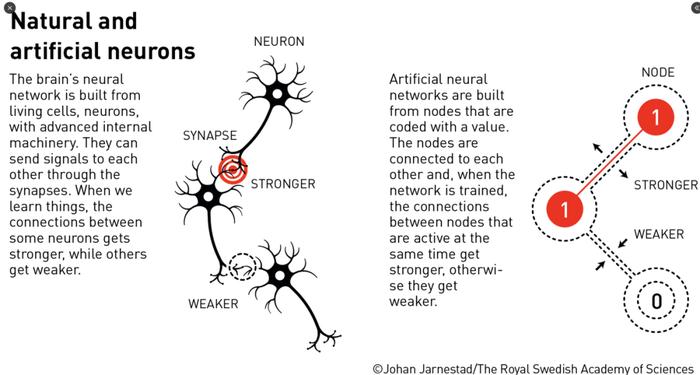 对话AI教父Hinton：回应获诺贝尔物理学奖的一切