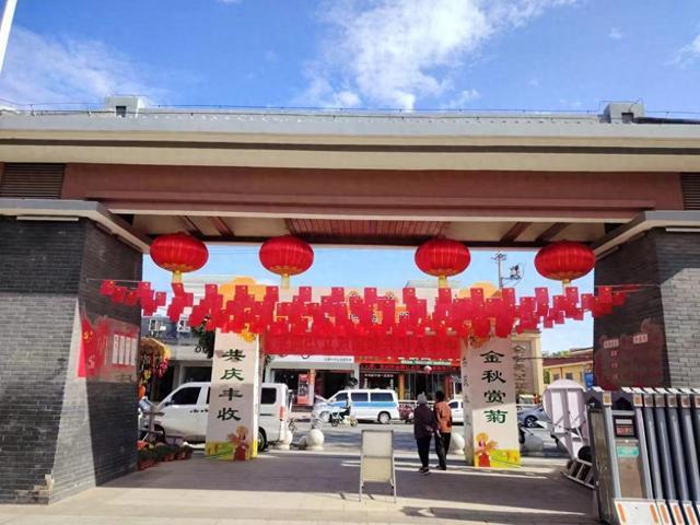 河南新野：邂逅一场美丽的菊花盛宴