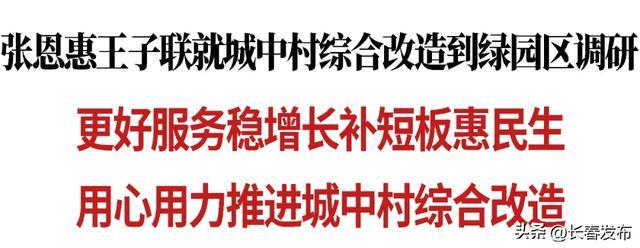 张恩惠王子联就城中村综合改造到绿园区调研