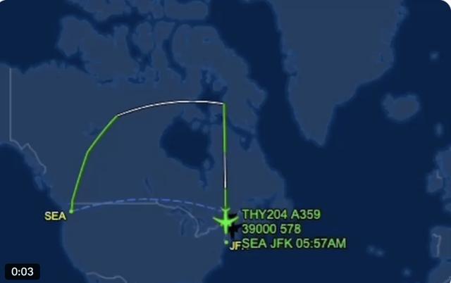 土耳其航空一飞行员执飞航班时死亡，飞机紧急迫降美国纽约