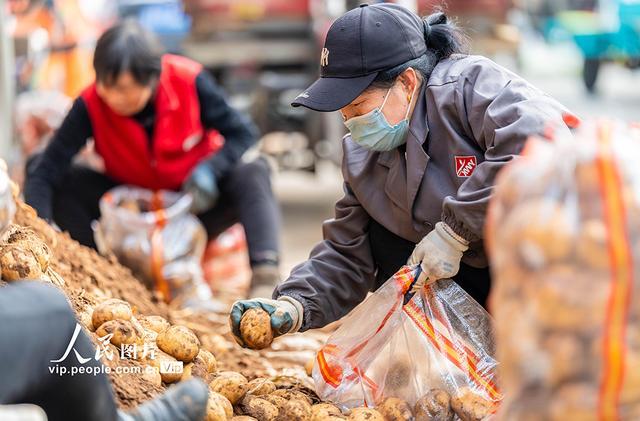 内蒙古呼和浩特：冬储菜上市