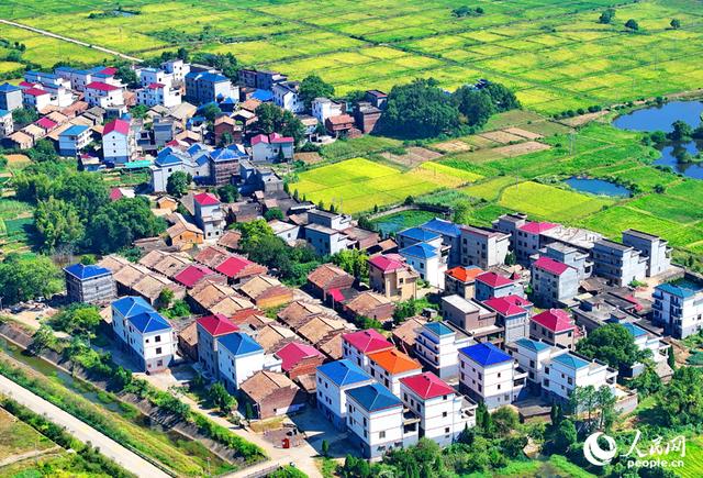 江西吉水：和美乡村景如画