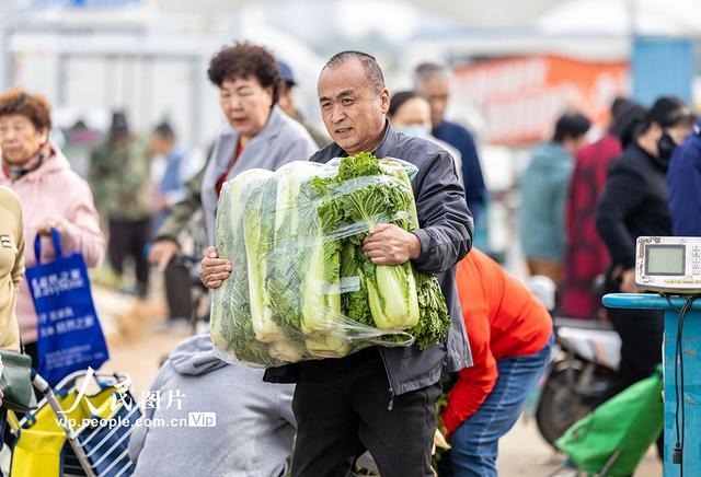 内蒙古呼和浩特：冬储菜上市