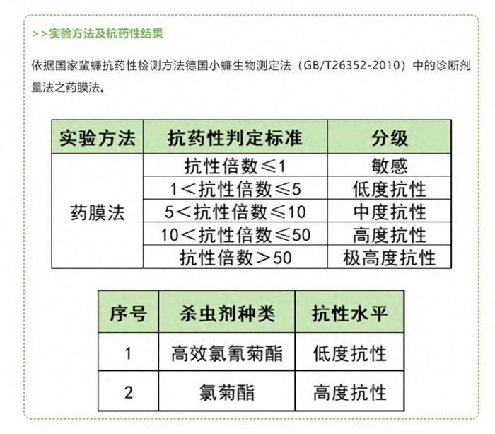 “蟑螂已进化”？佛山疾控：不科学