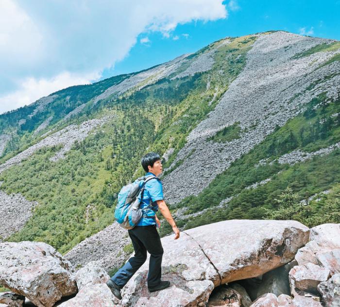 在这里，感受一座山的绿色脉动