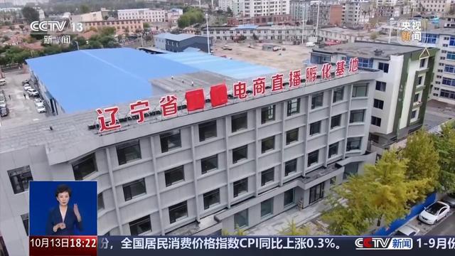 注册20多家公司有何秘密？揭开“东北雨姐”直播背后的真相