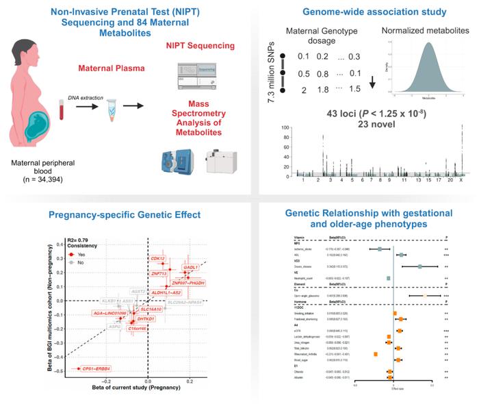 六篇Cell Genomics | 产检迈向个性化？孕期生化、母子代谢及妊娠期糖尿病的遗传密码(图5)