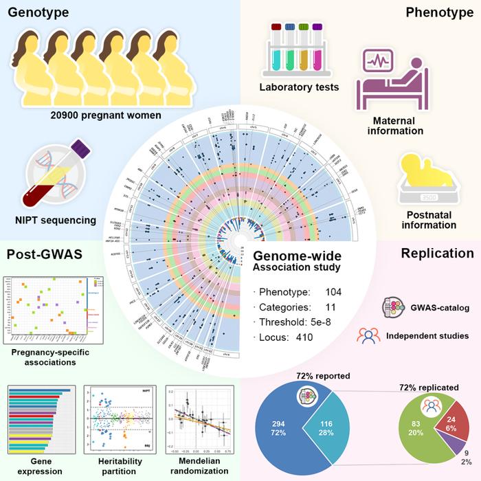 六篇Cell Genomics | 产检迈向个性化？孕期生化、母子代谢及妊娠期糖尿病的遗传密码(图3)