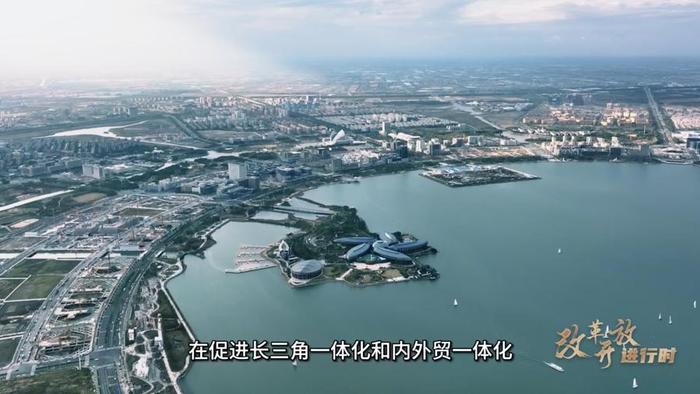 罗长远：如何建设更高水平开放型经济新体制丨改革开放进行时⑨