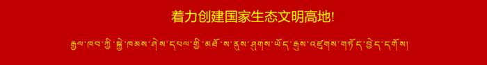 （含加油、商超）拉萨消费券又来了！