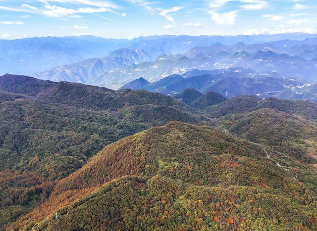 重庆巫山：梨子坪秋意浓