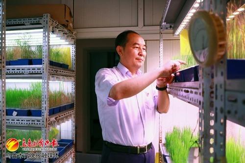 树立“大食物观” 向植物要“食物”