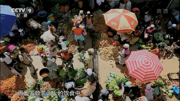 传统知识，在废墟上重生｜世界粮食日