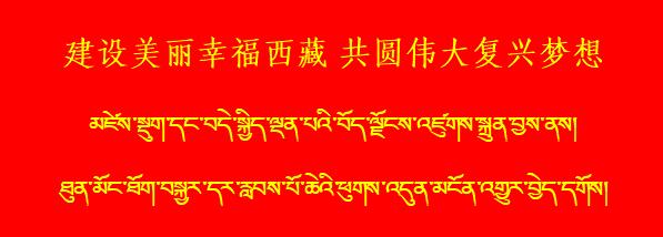 住在海亮世纪新城、次角林的人，有福了！