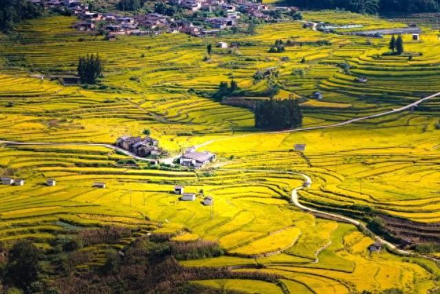5年建成高标准农田15万亩，保山龙陵藏粮于地，助农增产增收（网球场地标准尺寸多少平方）