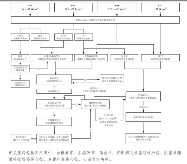 国家级肥胖症诊疗指南来了，提醒GLP-1减肥药反弹风险