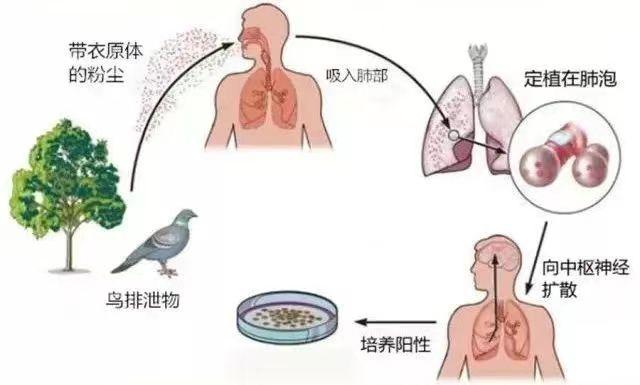 母女俩双双确诊，此前已致人死亡！家中有这个的快自查！