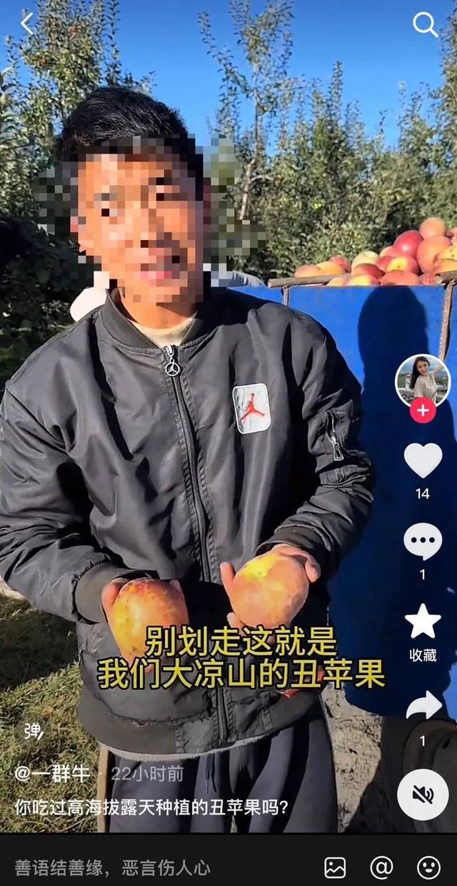 “哥上北大弟辍学卖苹果”系剧本！网友：为流量毫无底线