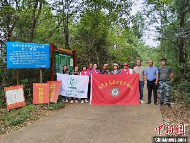 湖南零陵“智慧巡林”撑起候鸟迁徙“保护伞”