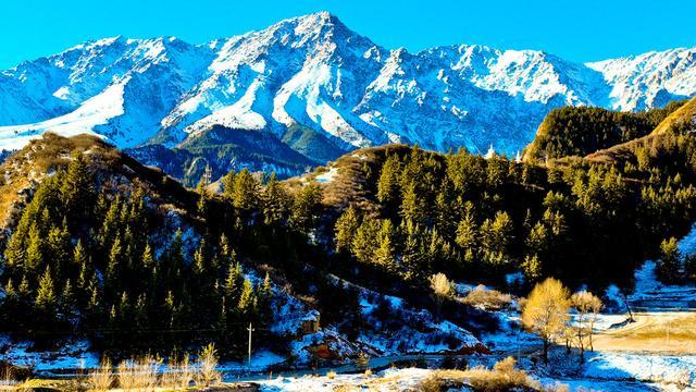 甘肃张掖：祁连雪山映衬下的树木色彩斑斓