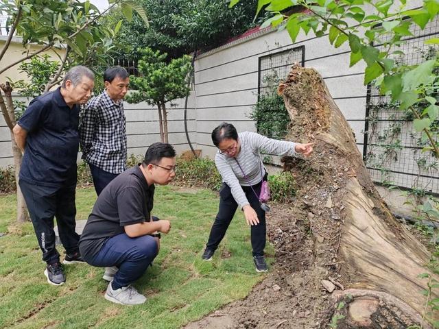 参加“大树议事会”，上海长宁这个街道的居民老起劲了