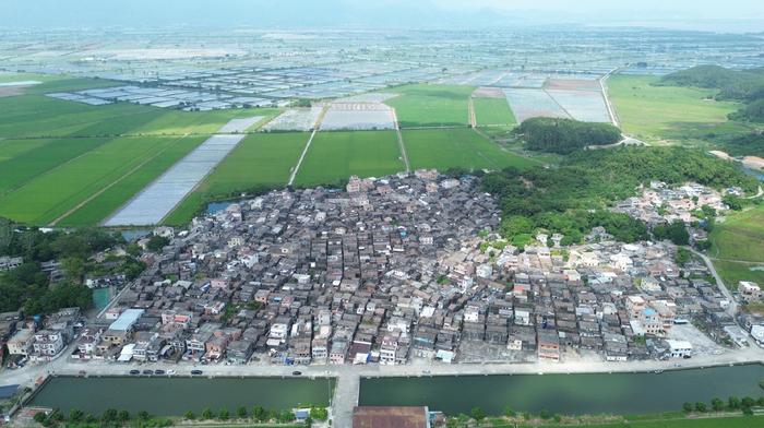 【视频】江门台山都斛镇白石村：产业提质升级大青蟹变“黄金蟹” | 乡村故事⑦