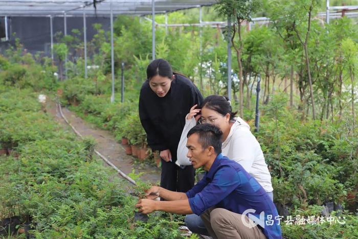 《经济日报》整版聚焦：云南保山因地制宜发展农村集体经济