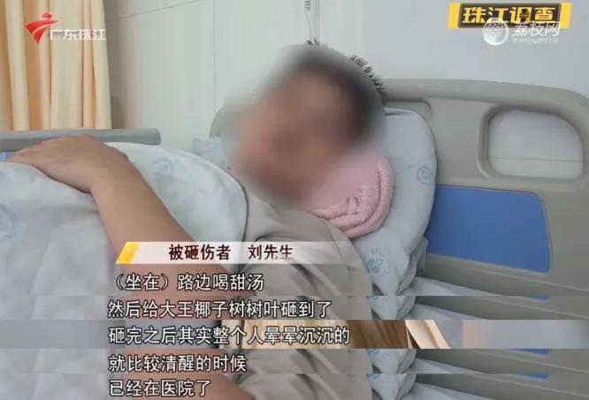 一男子被树叶砸骨折，获赔2.2万元