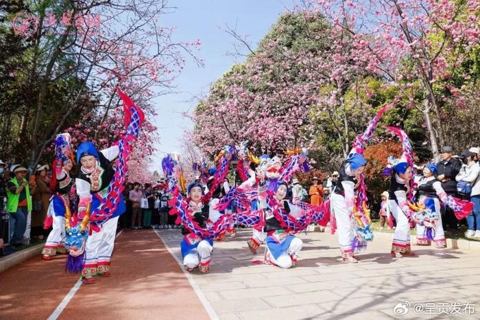 城市音乐会 - 资讯频道