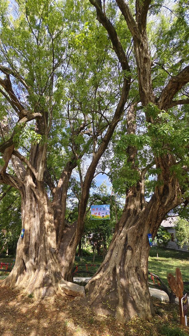 美了乡村、来了游客、富了村民，湖北钟祥慢生活旅游越来越火