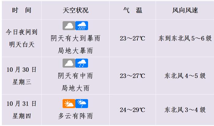 注意防范！海口大风蓝色预警信号生效中→