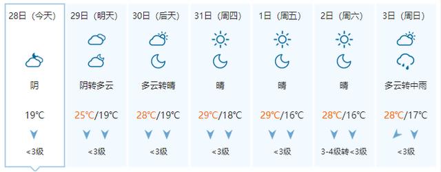 台风残余环流和冷空气继续搞事！广西这些地方还有大风和降雨！