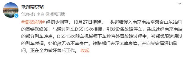 野猪闯入铁路撞上动车，害死随车机械师！最新情况通报来了