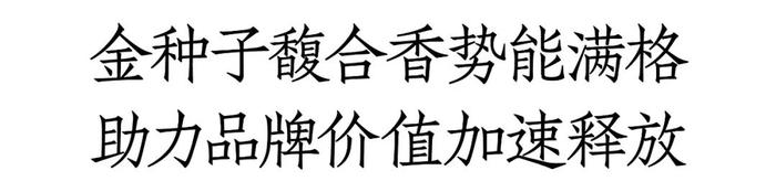 金种子三季报成绩单的AB面