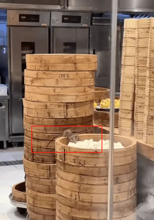 官方回应陶陶居后厨老鼠疯狂吃包子：基本属实，已对当事人立案调查