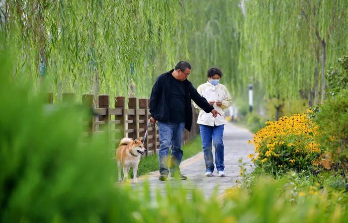 定了！银川这6处小微公园，有名字了！