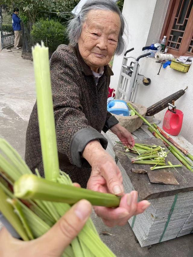 文化中国行·长江之歌｜溯江散记①：崇明江畔，当诗人回乡