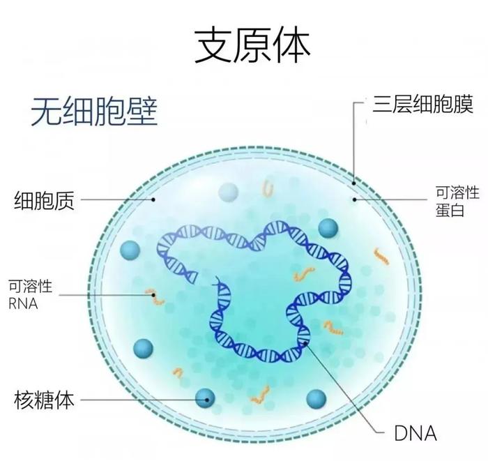 爆满！云南有医院接诊量翻倍！警惕这种情况...