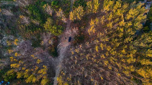 一组美图：郑州黄河滩湿地公园红黄绿交织美不胜收