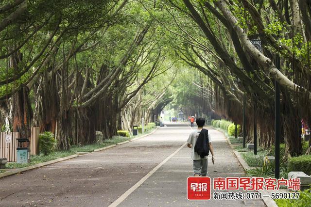 晴燥天气持续！广西白天还是“夏常在”