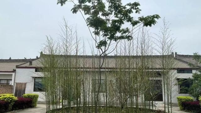 乡村振兴巾帼行动 | 陕西省“五美庭院”示范户（村）展播