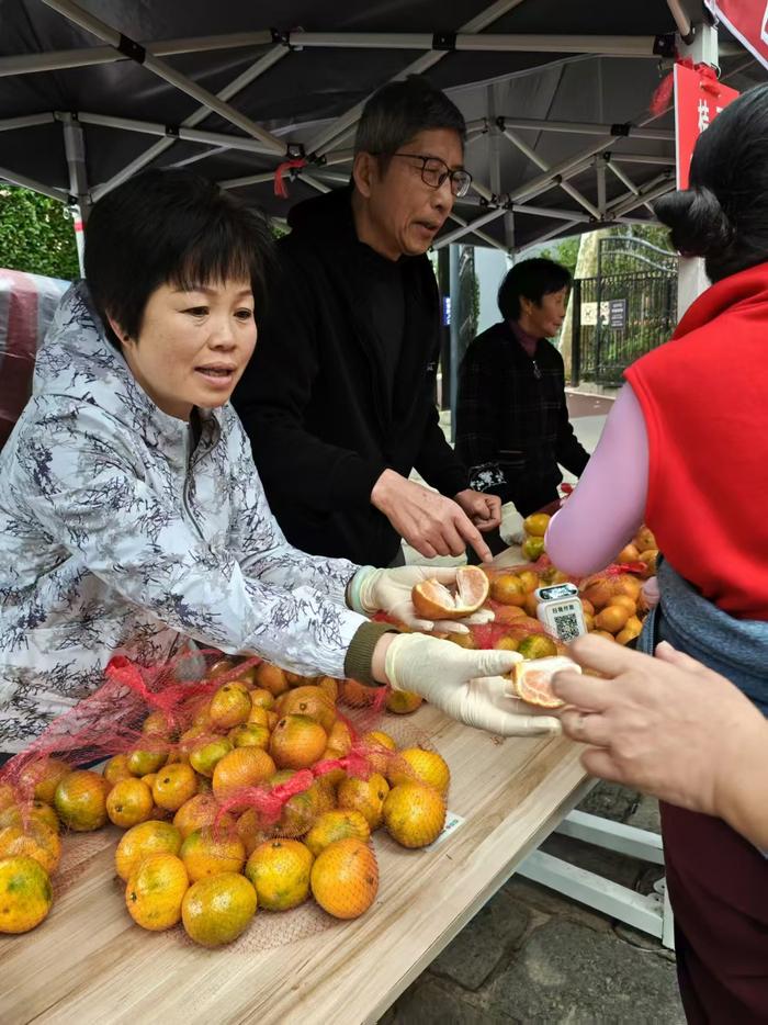 崇明三岛的橘子熟了！上海市民可在市区9座公园购买