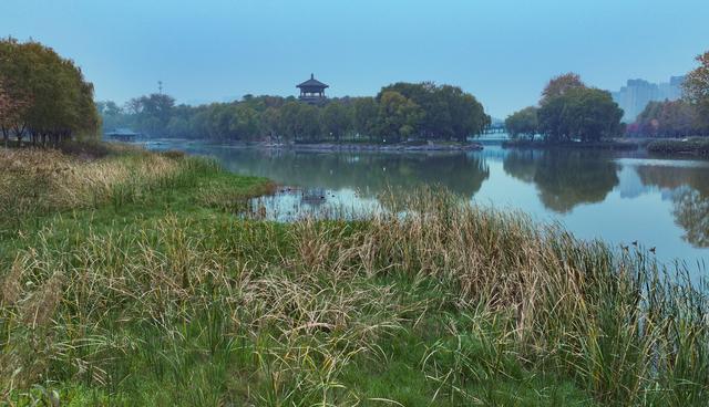 郑州西流湖公园：秋天的小精灵 美得像一幅工笔画