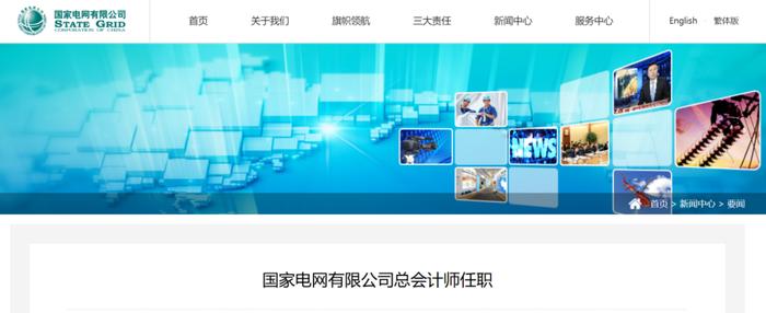 国家电网有限公司总会计师任职