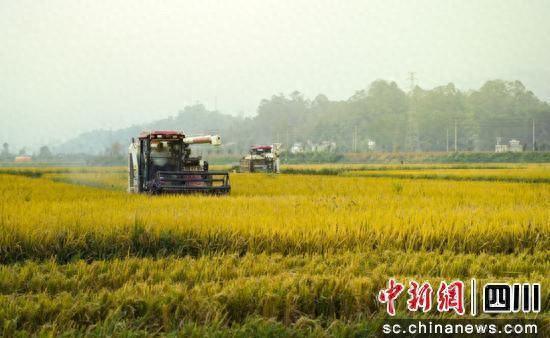 雅安雨城：全力冲刺 奋力完成全年目标任务