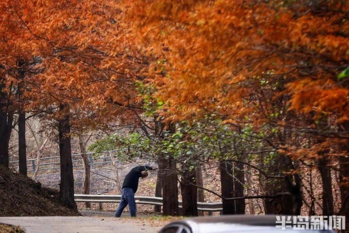 青岛两个神秘景点…突然爆火！半路就开始堵车，连800年不运动的懒人都出门了！网友：美成这样，你俩可真能藏