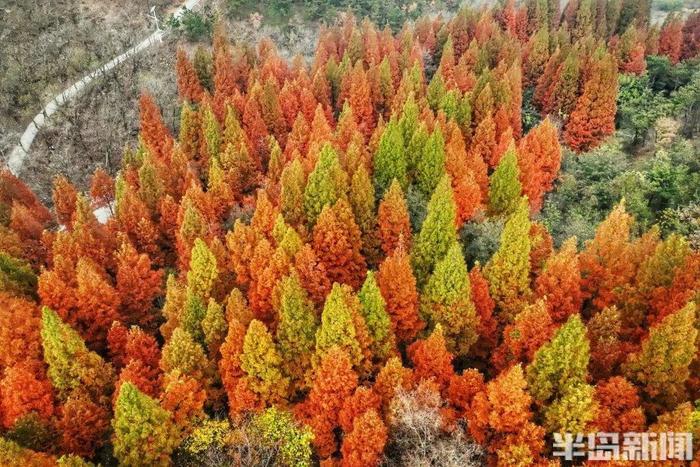 青岛两个神秘景点…突然爆火！半路就开始堵车，连800年不运动的懒人都出门了！网友：美成这样，你俩可真能藏