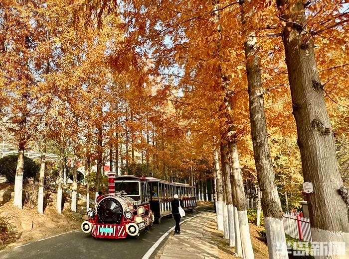 青岛两个神秘景点…突然爆火！半路就开始堵车，连800年不运动的懒人都出门了！网友：美成这样，你俩可真能藏